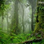 Quick and Easy Nepal Tour Packages from India