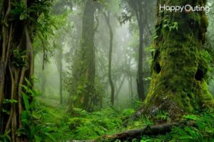 Quick and Easy Nepal Tour Packages from India